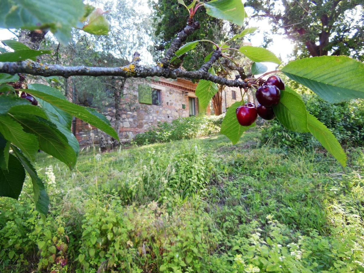La Fontaiola Villa Le Piazze Exterior photo