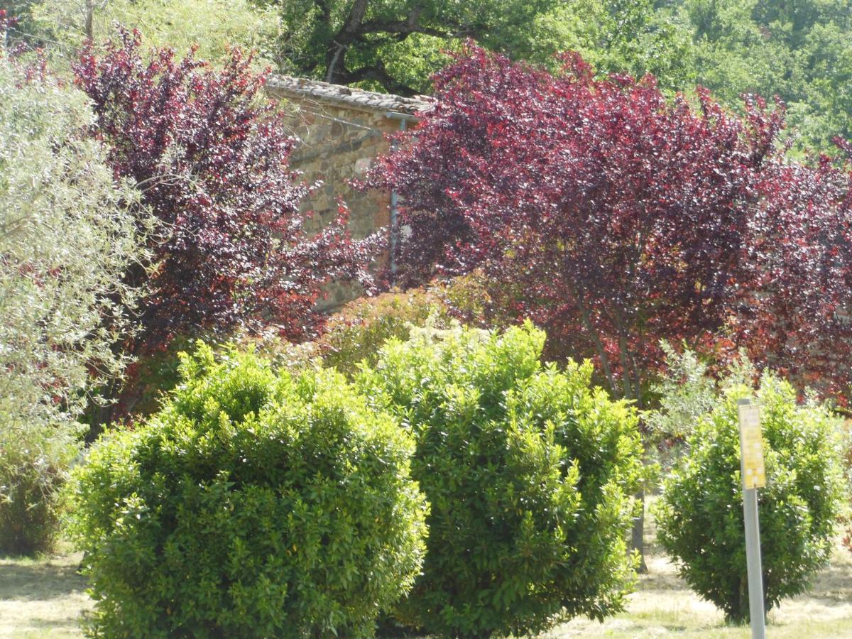La Fontaiola Villa Le Piazze Exterior photo